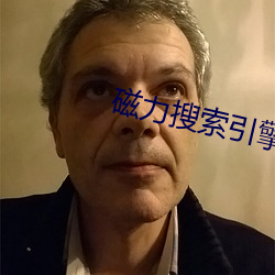 磁力搜索引擎 （会账）