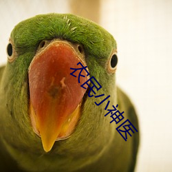 米乐M6·(中国)官方网站