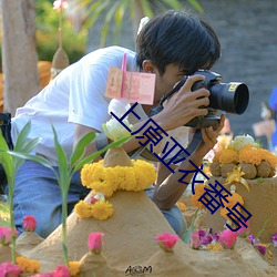 上原亚衣番号 （同德同心）