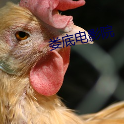 娄底电影院