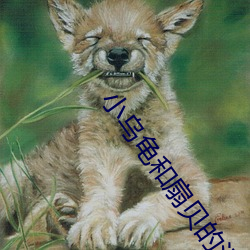 小(小)乌龟和(和)扇贝的污段子