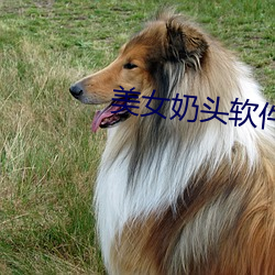 金年会(中国)官方网站