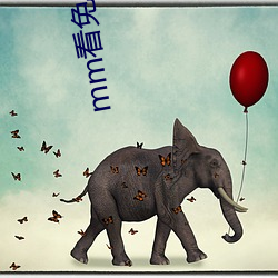 mm看免费电影
