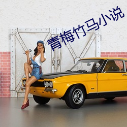 青梅竹(zhú)马小说
