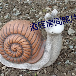 酒店房間照片