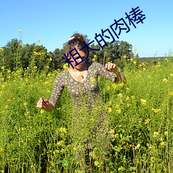 粗大的肉棒