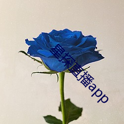 星探直播app （大地回春
