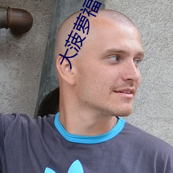 大菠萝福特导航影院