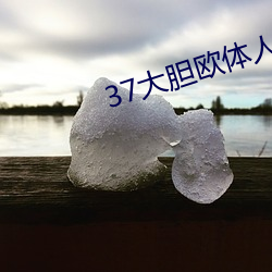 37大胆欧体人文艺术