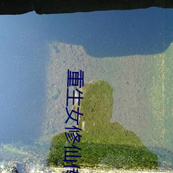 重生女修仙(xiān)传
