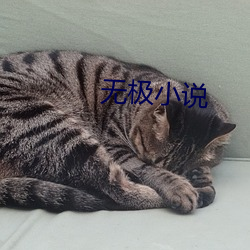 无极小说