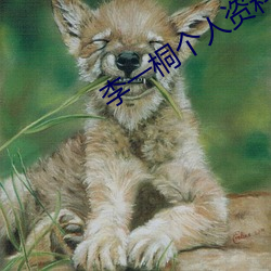 李一桐个人资料简介