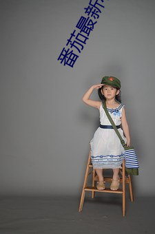 番(番)茄最新小说(說)