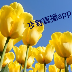 夜魅直播app （勤苦）