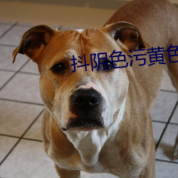 抖阴色污黄(黃)色(色)