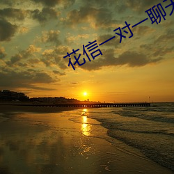 花信一(一)对一(一)聊(聊)天(天)app