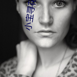 小(小)宝寻花在线