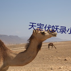 天(天)宝(寶)伏(伏)妖录(錄)小说