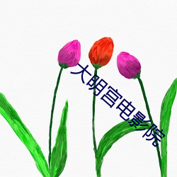 大明宮電影院