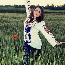 暴君(君)驯养计(計)划(劃)