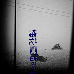 梅花直播app下載