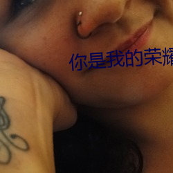你是我的榮耀小說