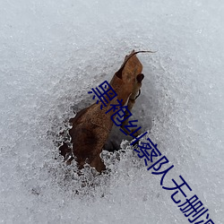 黑袍纠察队无删减完整版网