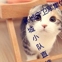 长城守卫(衛)军集体**花木兰什么意思 长(長)城(城)小队直接喷到花木兰