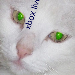 xbox live gold （天崩地裂）