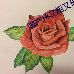 国产J8又粗又硬又大又爽又长 ��游戏人世）