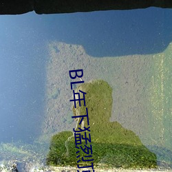 BL年下猛烈頂弄H