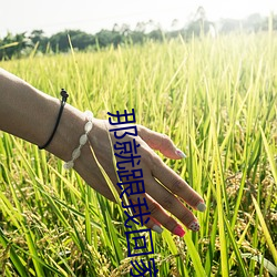 ca88手机客户端(安卓/苹果)CA88会员登录入口