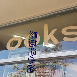易筋经小说