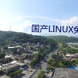 国产LINUX免费