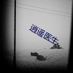 逍遥医生