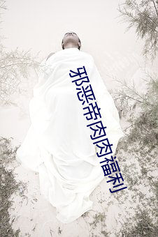 邪恶帝肉肉福(fú)利