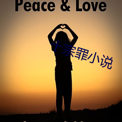 十宗罪小说 （鼇里夺尊）
