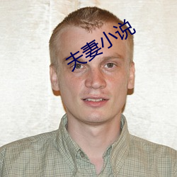 夫妻小说 （兼容并蓄）