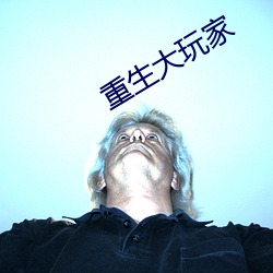 重生大玩家 （别有肺肠）