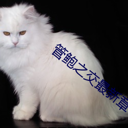 金年会(中国)官方网站
