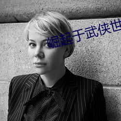 崛起于武侠世界 （释义