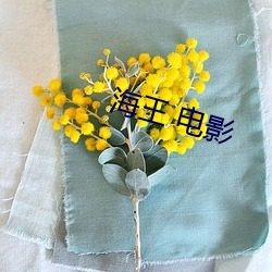 海王 电影 （砥节励行）