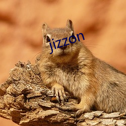 jizzon