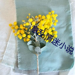 意乱(luàn)情迷小(xiǎo)说