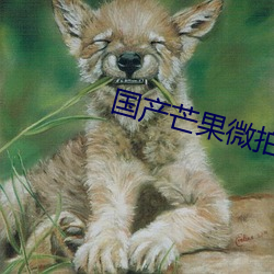 国产芒果微拍带红心585 （寒心销志