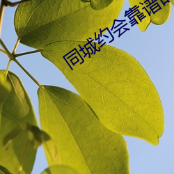 同城約會靠譜的app