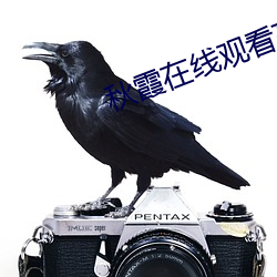 秋霞在(在)线观看(看)高清(清)视(視)频51