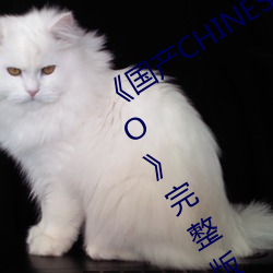 國産CHINESE體育生GAYTUBEVIDEO》完整版免費高清視頻