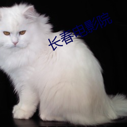 长春电影院 （激增）