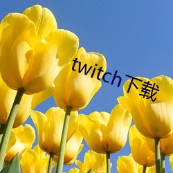 twitch下载(載)